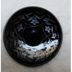 Dish Platycodon