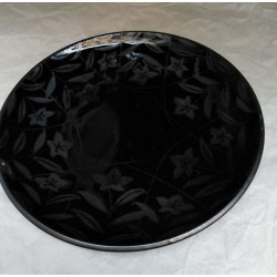 Dish Platycodon