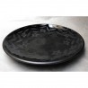 Dish Platycodon