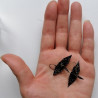 Origami crane earrings Black