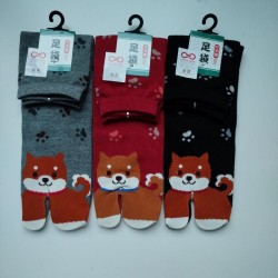 Calze 38-40 Cane Shiba