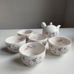 Teapot and five cups set