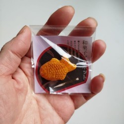 Magnet Taiyaki