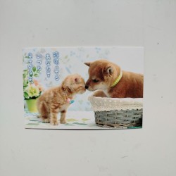 Cartolina Cane e gatto