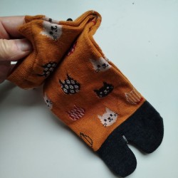 Calze 35-37 Gatto bicolori