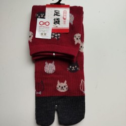 Calze 35-37 Gatto bicolori