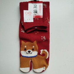 Tabi socks Shiba dog 35-37