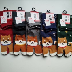 Tabi socks Shiba dog 35-37