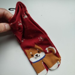 Tabi socks Shiba dog 35-37