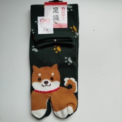 Tabi socks Shiba dog 35-37