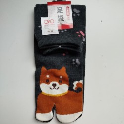 Calze 35-37 Cane shiba