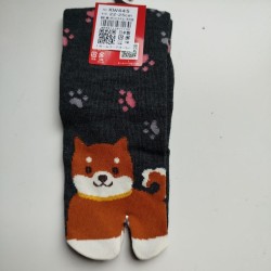 Calze 35-37 Cane shiba