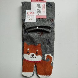 Tabi socks Shiba dog 35-37