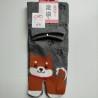 Calze 35-37 Cane shiba