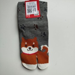 Calze 35-37 Cane shiba