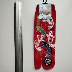 Tabi big size -Carp