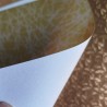 Origami Gold
