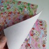 Origami Chiyogami lucidi