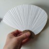 Paperfan Chidori, Ginkgo yellow