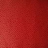 Washi Katazuri Garofano Rosso