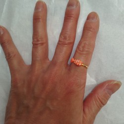 Sushi ring