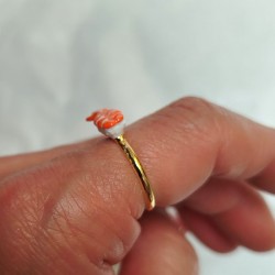 Sushi ring