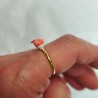 Sushi ring