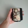 Sushi-yunomi Tea cup Yuzen