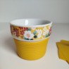Soup cup Spallow