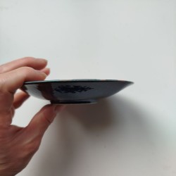 Small plate Carp