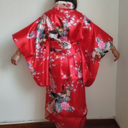 Kimono cosplay