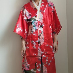 Kimono cosplay