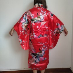Kimono cosplay